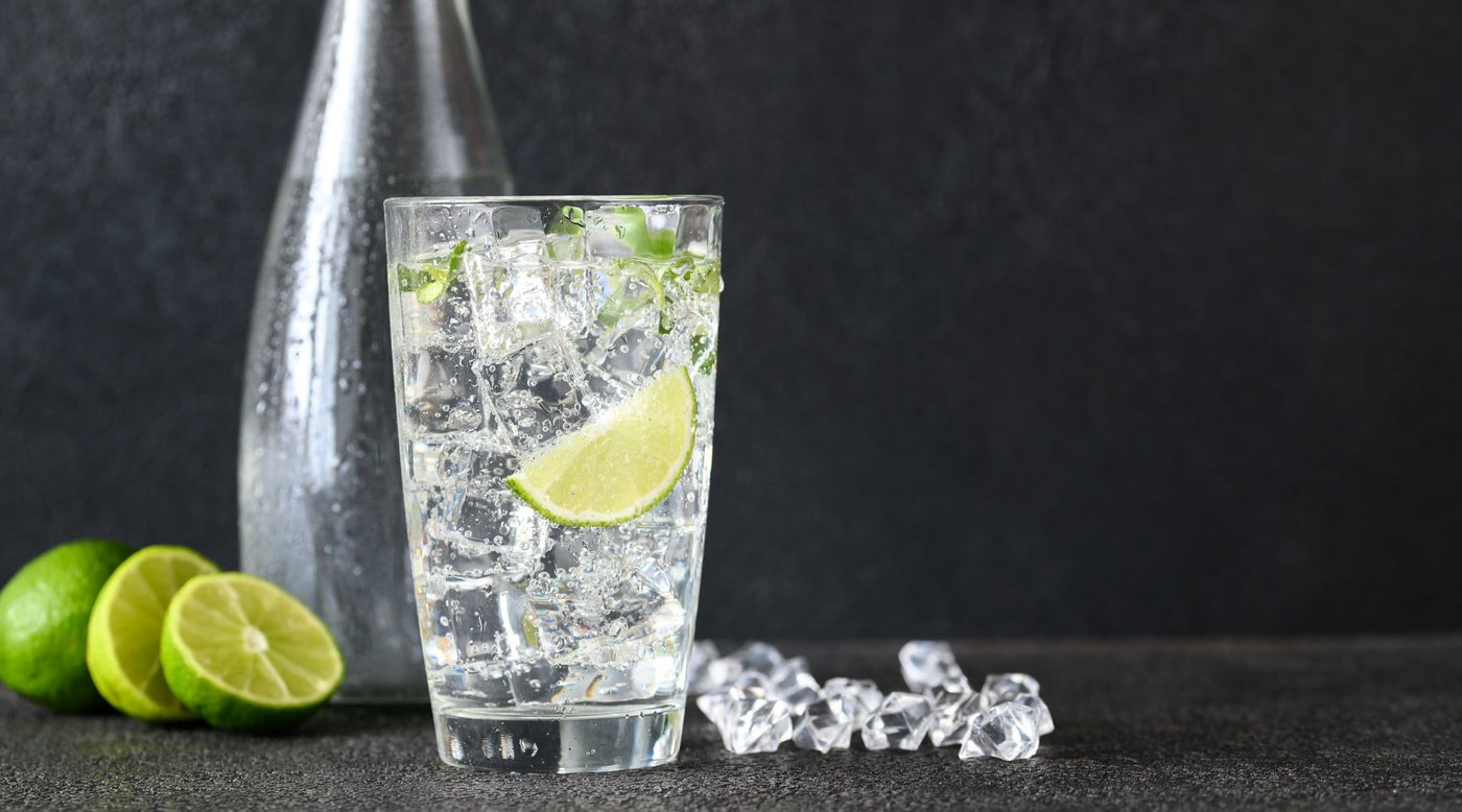 4 Low FODMAP Soda Alternatives ModifyHealth