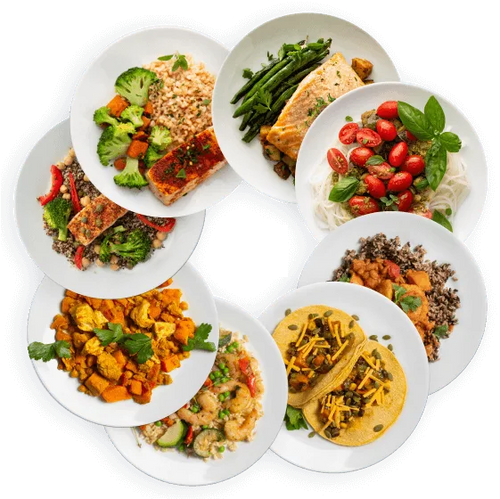 Modify Health Meals How ModifyHealth Works